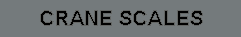 Crane scales
