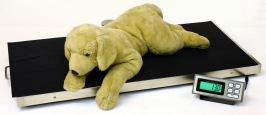 LVS-XL Veterinary Scales 44 x 22 700 lb Capacity