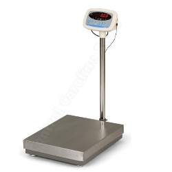 Wrestling Scale Person Weigher 600 x 0.1 lbs
