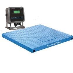 Weigh-Tronix ProDec Industrial Floor Scale 4x4 5000 LB