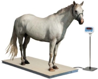 scale for weighing horses
