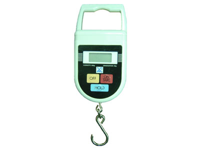 LOW COST Digital Hanging Scale