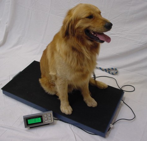 Small Weight Scale, Small Animal Scale