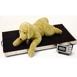  Dog Scales  Dog Weight Scale for Large Dogs, MAX