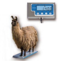 brecknell ps1000 livestock scale with built in ramps