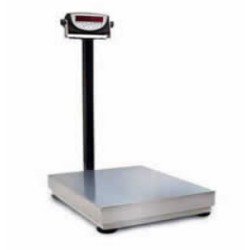 Digi Bench Scale with 120 Readout 150 lb.