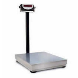 Digi Bench Scale with 120 Digital Readout 500 lb.