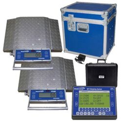 Digital Scale for Gold Nuggets (.1g gram scale)
