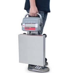 portable scale with carry handle