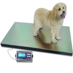 Optima Weighing Systems OP-915BWSS-18-24-500 500 lb. Portable Washdown Bench Scale with 18 x 24 Stainless Steel Platform, Legal for Trade