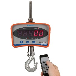 Salter Brecknell 500g Egg Weighing Scale — Dalton Engineering