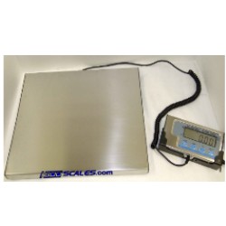 sportsman 300 lb capacity fishing scale