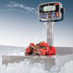 Tor-rey EQB-100/200-W Water Resistant Scale 200 lb