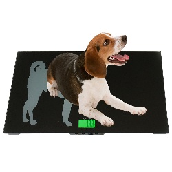 LC-VS 330 Vet Scale 330 x 0.1 lb