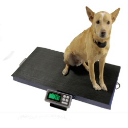 Digital Pet Scale for Small Medium Dogs,Dog Weight Scale, Animal Scale for  Veterinary and Home use,Large LCD Platform Scale,Veterinary Scale,Weigh