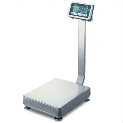 Digital Bathroom Scale with Stainless Steel Frame