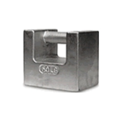 10 lb. Cast Iron Weight ASTM Class 7 Grip Handle