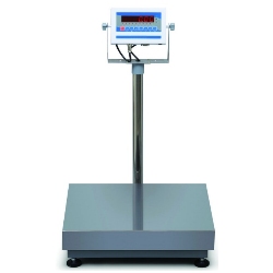 Certified Wrestling Scales 400 x 0.1 lb. NTEP Locker Room