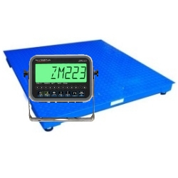 zm223-ntep-floor-scale-system