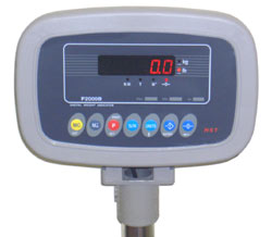 P 2000 Digital Head